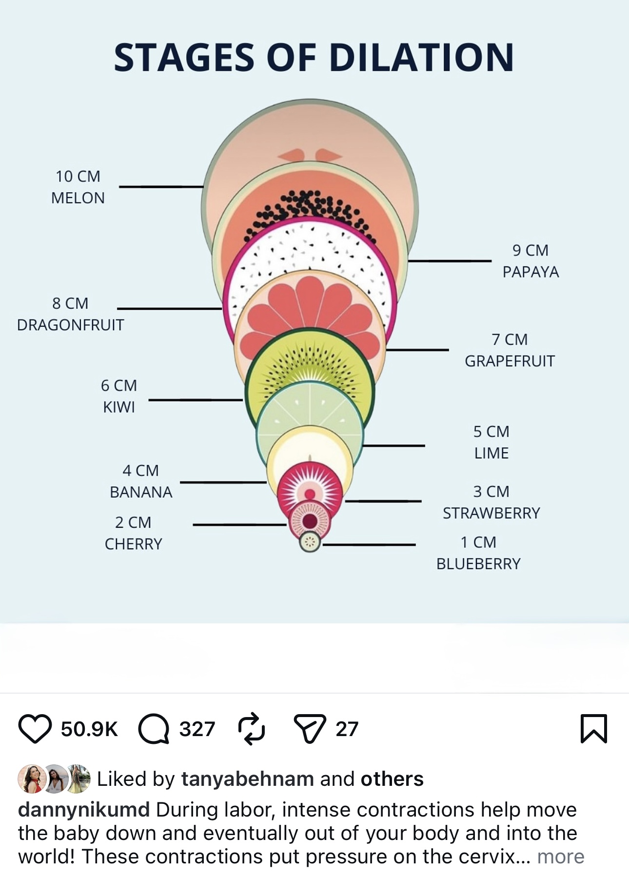 Cervical dilation carousel analytics screenshot